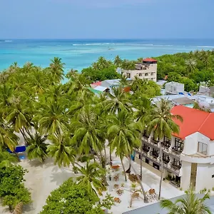 Kaani 3*