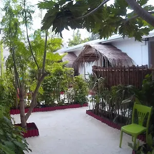 View 3*