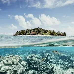 Complex Robinson Maldives - Adults Only 5*