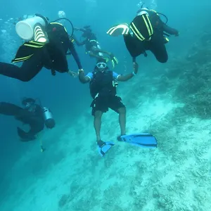 Scuba Guest house