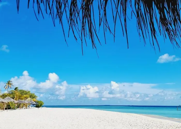 Gurus Maldives At Gulhi Island Hotel photo