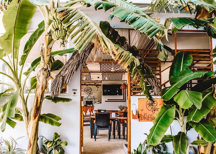 Dhiffushi Inn photo