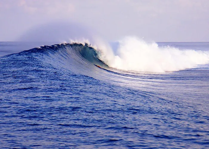 Serene Blue Bowls Inn Maldives képek