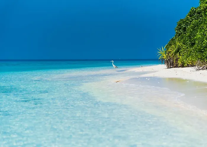 Villa Kamadhoo photo
