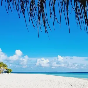 Affittacamere Gurus Maldives At Island Gulhi