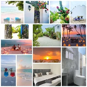 Coral Castle - Maldives *