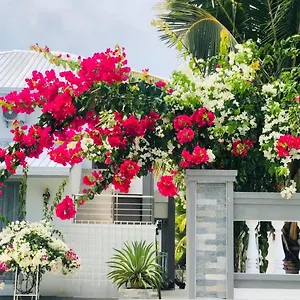 Pensiune Bougain Gemanafushi