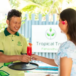 Tropical Tree Fehendhoo