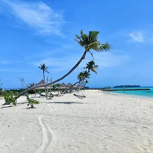 Palm Lagoon
