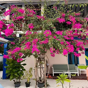 Holidays Albergue