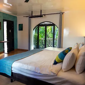 Zinnia - Inclusive Airport Roundtrip - Snorkeling - Picnic - Sandbank For 2 Adults With Min 4-nights - Applicable For Bookings Made From 1st June 2025 Period 31st Oct 2025 Guest house Maafushi