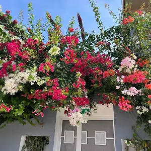 Hiri Manadhoo