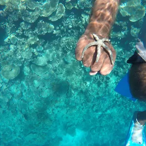 Гостевой дом Maldives Seashine