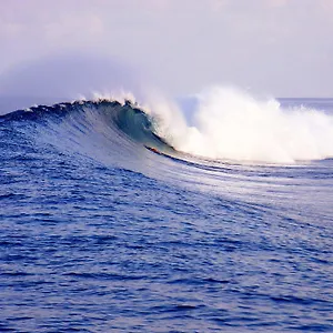 Otel Serene Blue Bowls MALDIVES