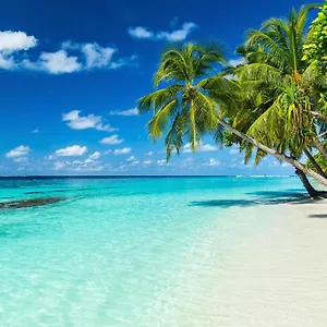 Equa Reef Maldives