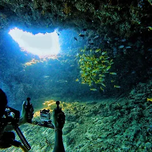 & Dive Affittacamere