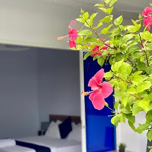 Tides Dhigurah Gæstehus Dhigurah (Alif Dhaal Atoll)