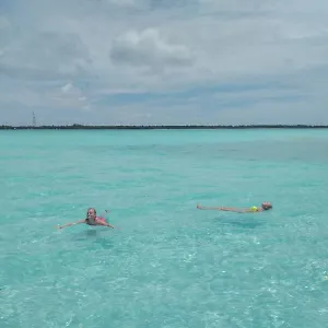 Bahari Lodge, K.kaashidhoo 게스트하우스