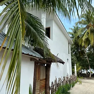Dive And Sleep * Maamigili