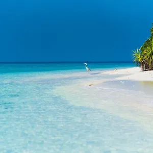 Villa Kamadhoo Kamadhoo