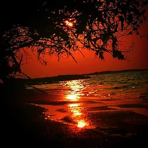 Fulhadhoo Inn Pensjonat Fulhadhoo